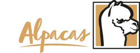 Old Felton Alpacas